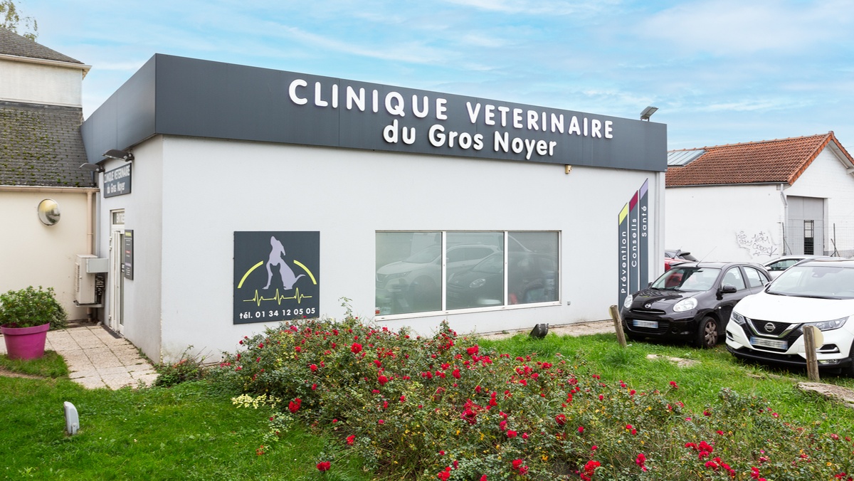 Clinique vétérinaire du Gros-Noyer - Saint-Prix - Sevetys