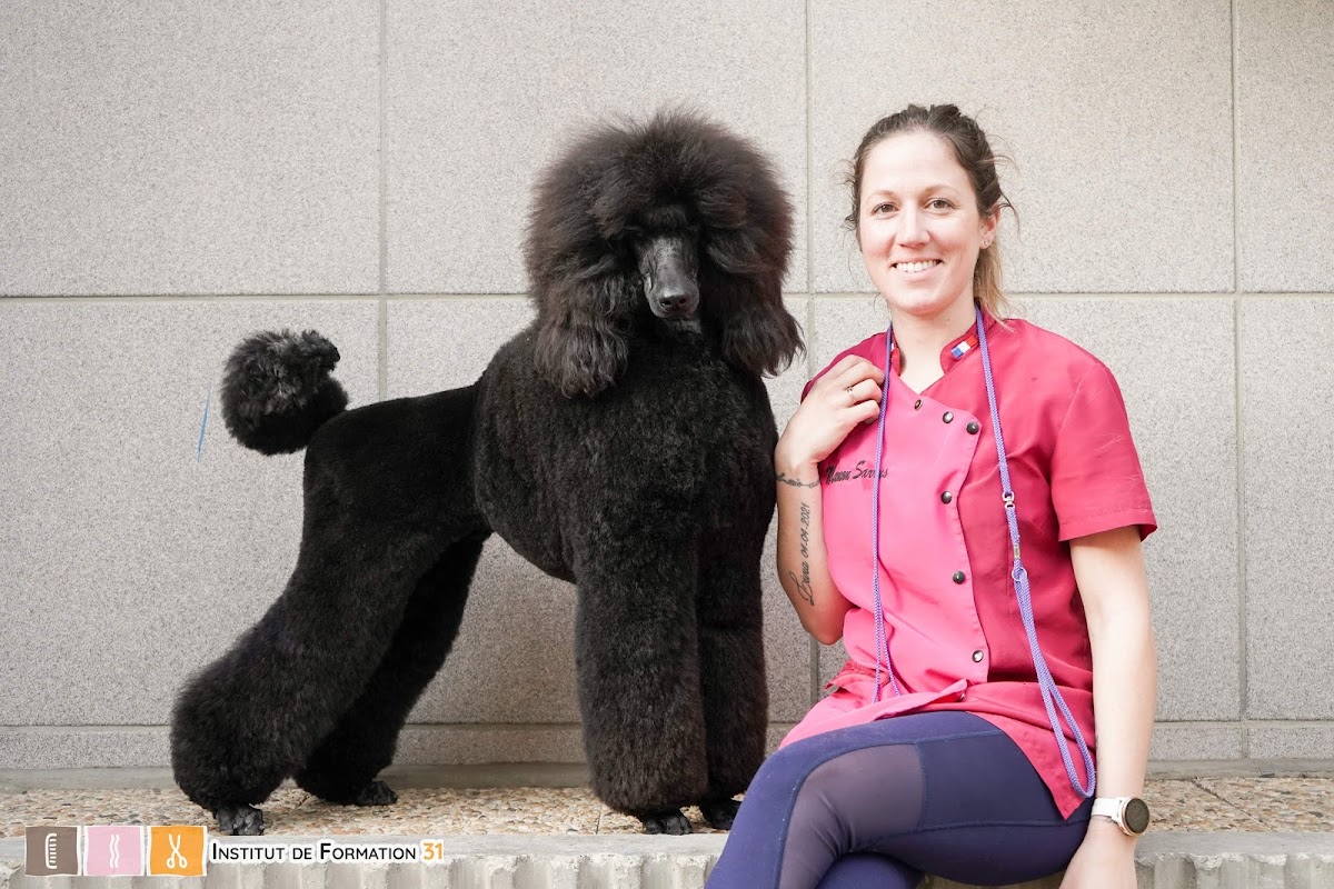 Les ciseaux canins