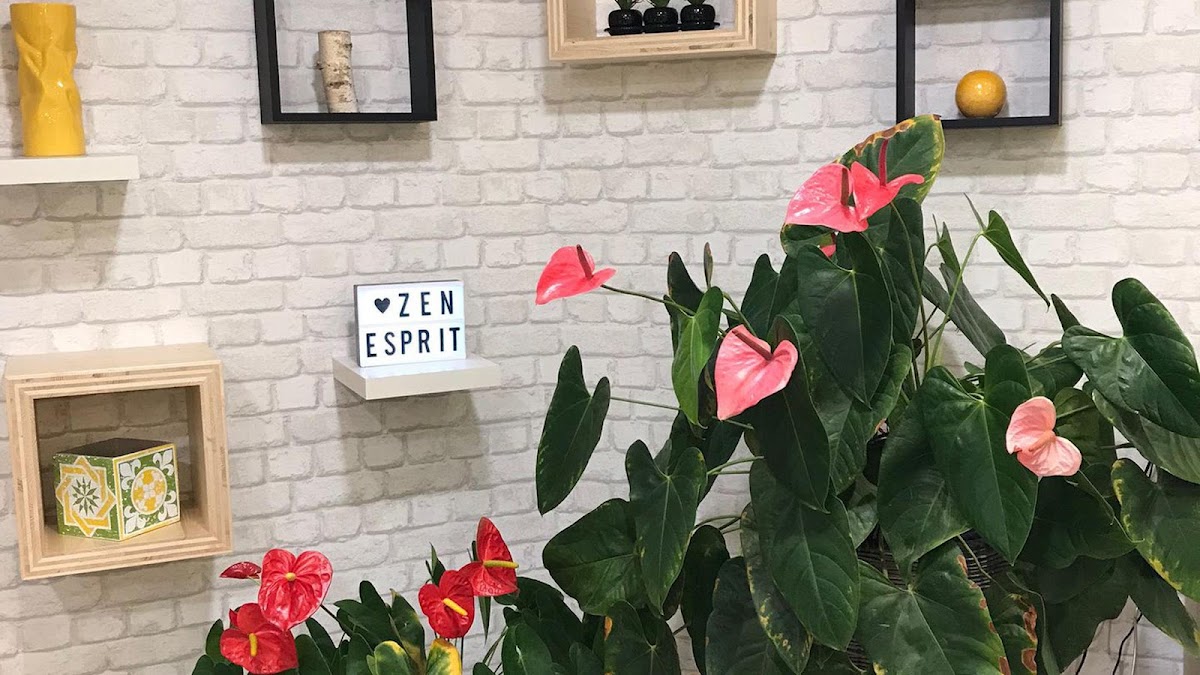 Coiffure Zen Esprit