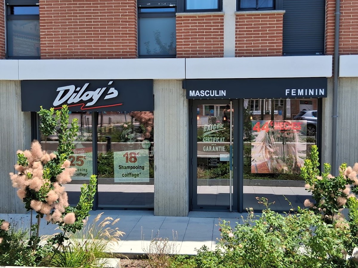 Diloy's Saint-Orens