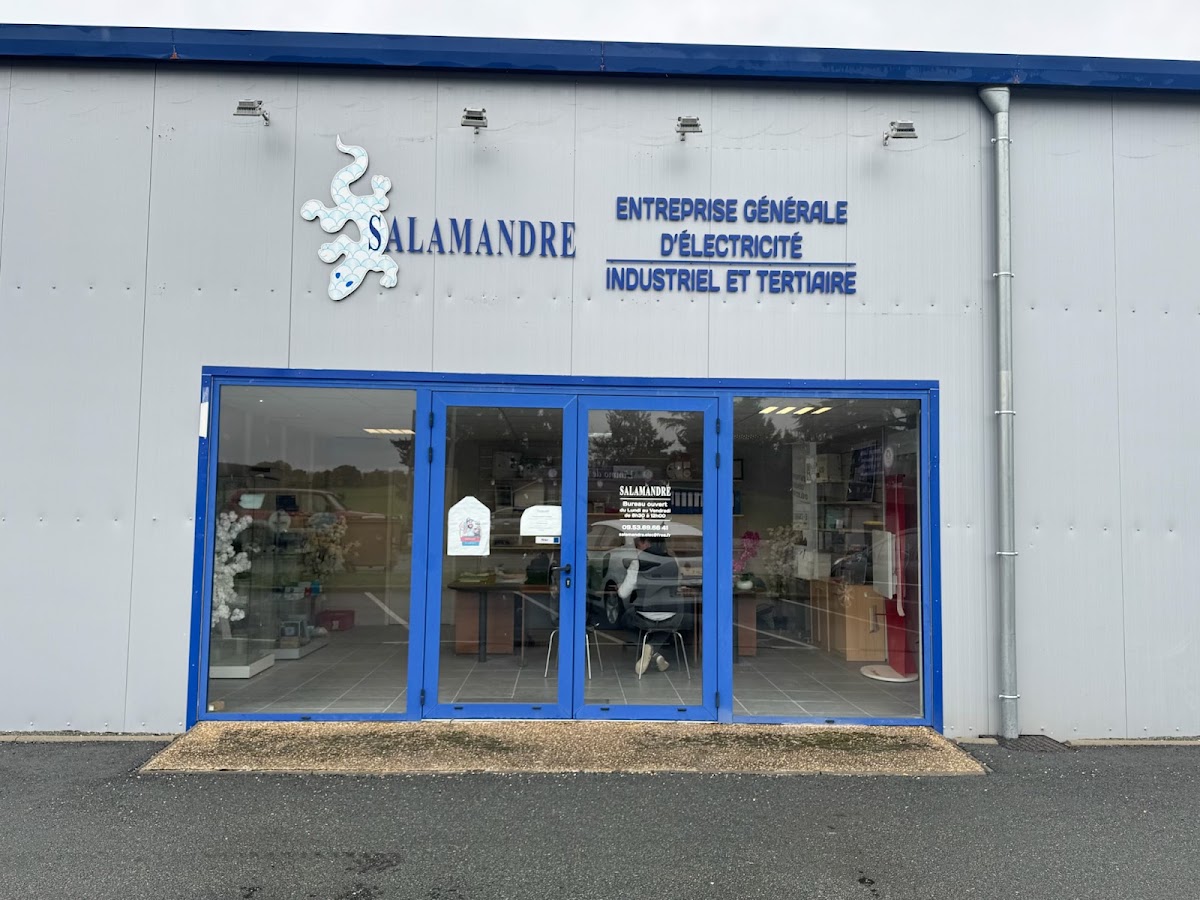 Salamandre