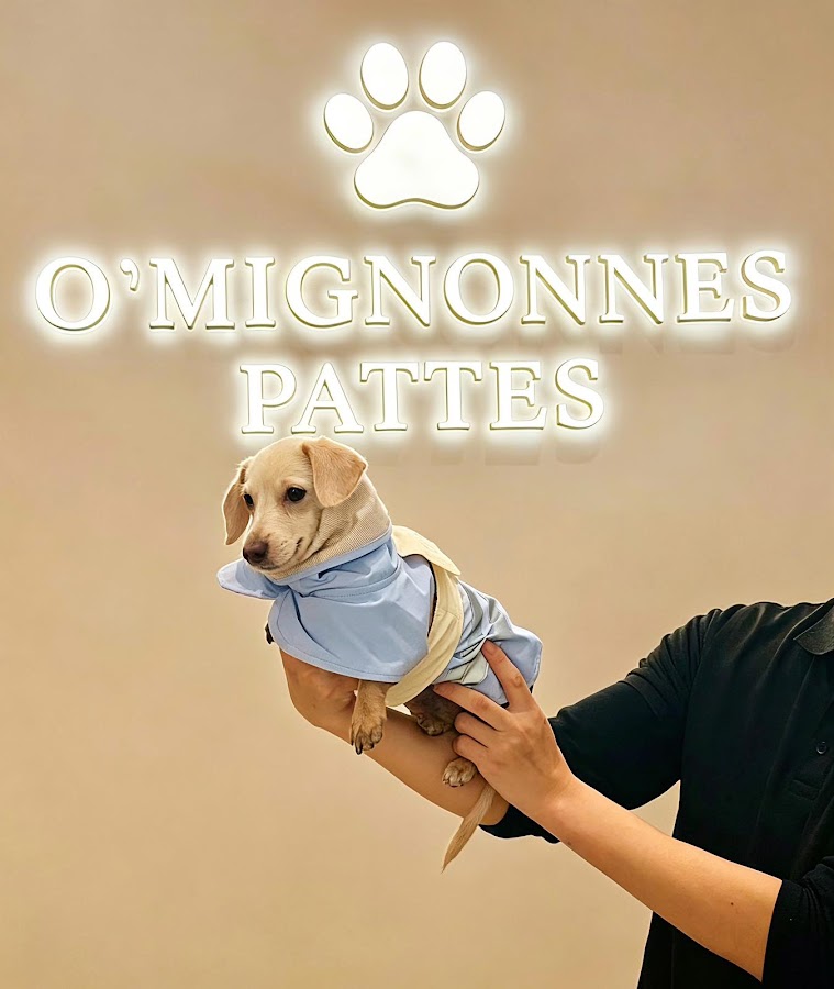 O‘Mignonnes Pattes Toilettage Paris 17