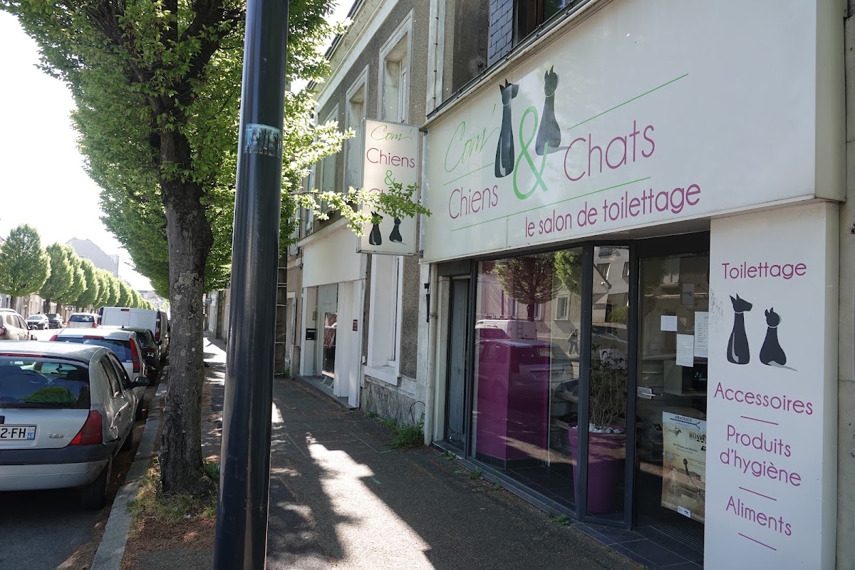 Com' Chiens et Chats