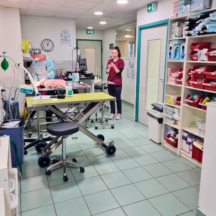 Clinique Vétérinaire Mansart