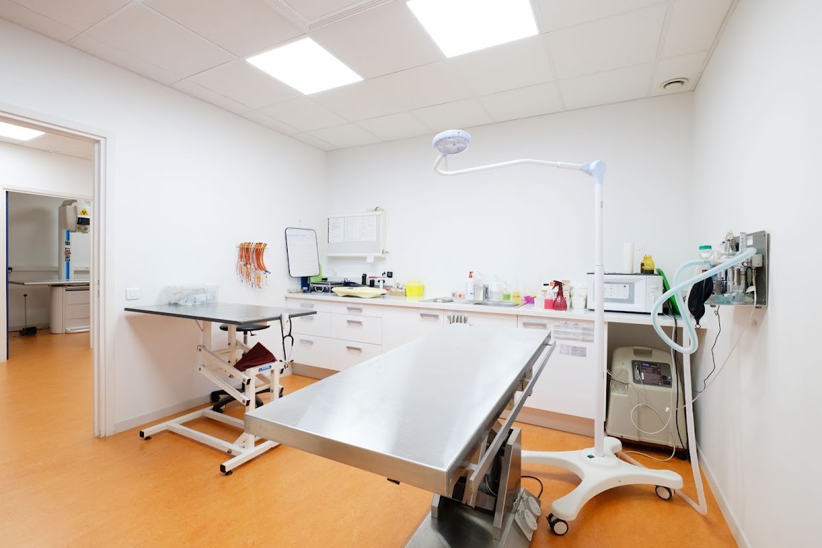 Clinique Vétérinaire Argos Antibes Bel Air