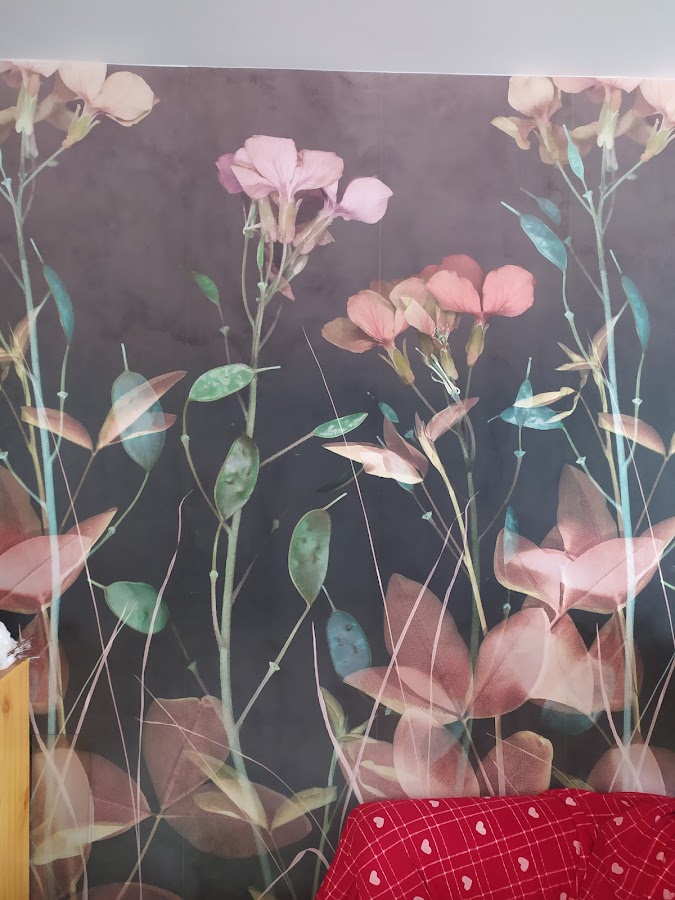 LD PEINTURE | Artisan peintre Saint Drézéry