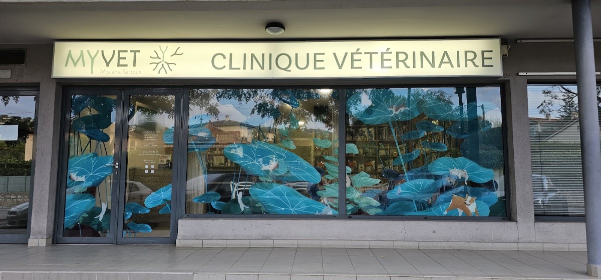 Clinique Vétérinaire My Vet Mouans-Sartoux