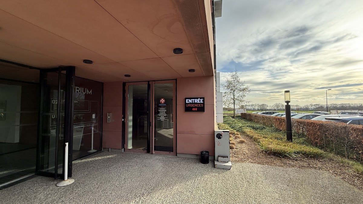 Urgence vétérinaire - clinique de garde - Vétérinaires 2 Toute Urgence Lille