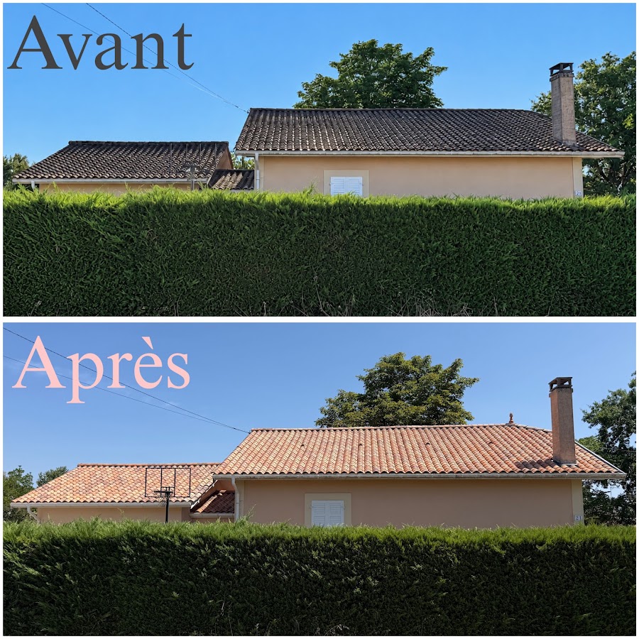 MS rénovation Artisan Peintre et Couvreur